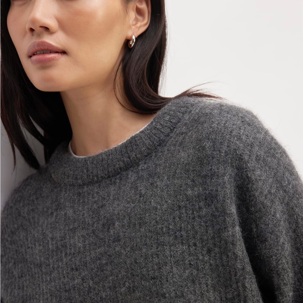 Everlane Cocoon Crew in Alpaca - Picture 4 of 8
